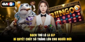 Bạch Thủ Lô Là Gì? Bí Quyết Chốt Số Thắng Lớn Cho Người Mới
