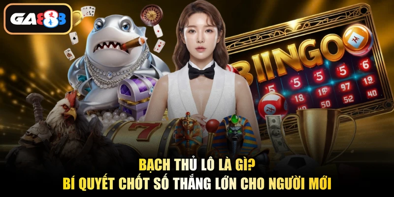 Bạch Thủ Lô Là Gì? Bí Quyết Chốt Số Thắng Lớn Cho Người Mới