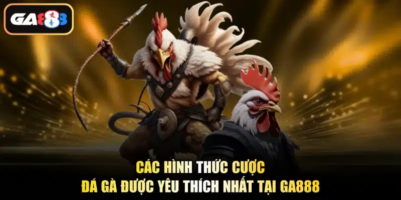 Các hình thức cược đá gà được yêu thích nhất tại Ga888