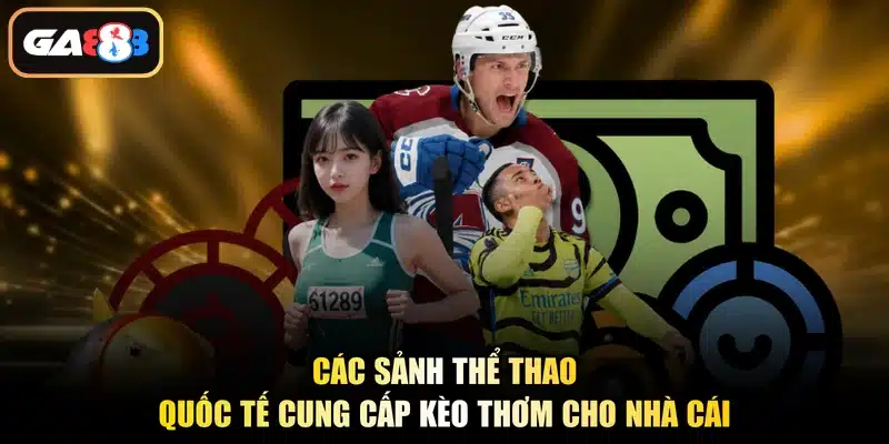 Các sảnh thể thao quốc tế cung cấp kèo thơm cho nhà cái
