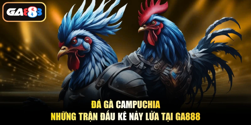 Đá Gà Campuchia - Những Trận Đấu Kê Nảy Lửa Tại Ga888