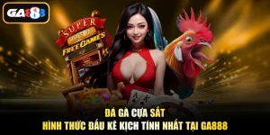 Đá Gà Cựa Sắt - Hình Thức Đấu Kê Kịch Tính Nhất Tại Ga888