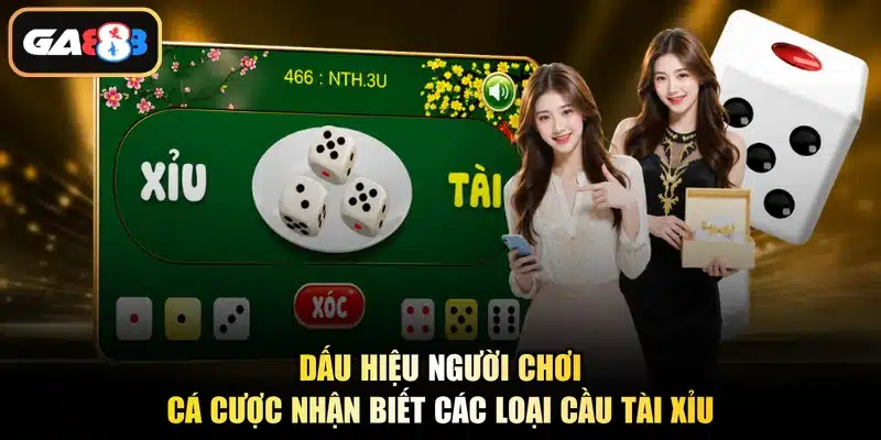 Dấu hiệu người chơi cá cược nhận biết các loại cầu tài xỉu