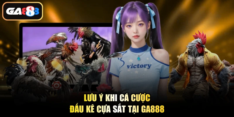 Lưu ý khi cá cược đấu kê cựa sắt tại Ga888