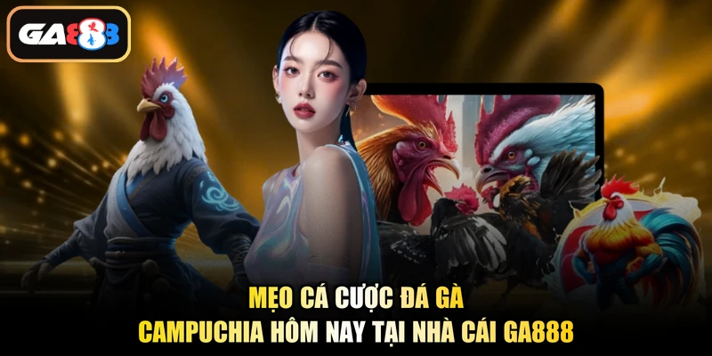 Mẹo cá cược đá gà Campuchia hôm nay tại nhà cái Ga888