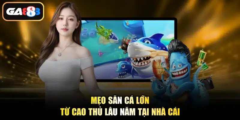 Mẹo săn cá lớn từ cao thủ lâu năm tại nhà cái