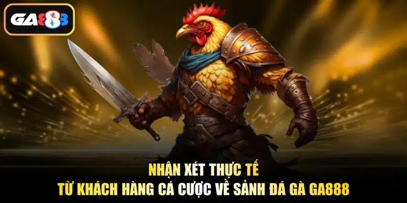 Nhận xét thực tế từ khách hàng cá cược về sảnh đá gà Ga888
