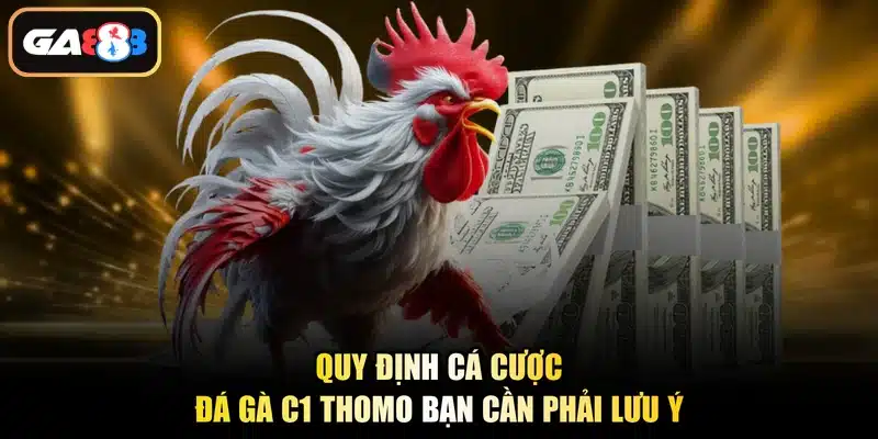 Quy định cá cược đá gà C1 Thomo bạn cần phải lưu ý