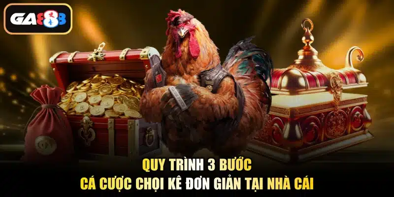 Quy trình 3 bước cá cược chọi kê đơn giản tại nhà cái