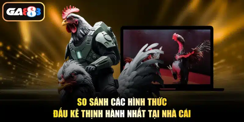 So sánh các hình thức đấu kê thịnh hành nhất tại nhà cái