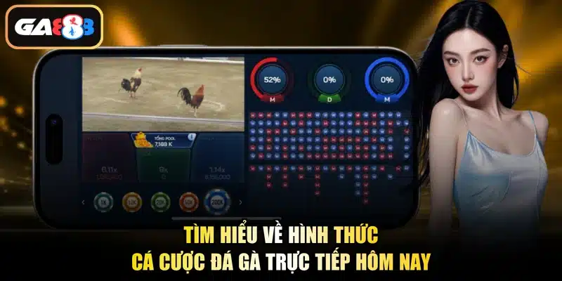 Tìm hiểu về hình thức cá cược đá gà trực tiếp hôm nay