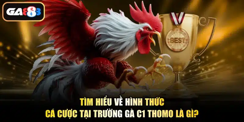 Tìm hiểu về hình thức cá cược tại trường gà C1 Thomo là gì?