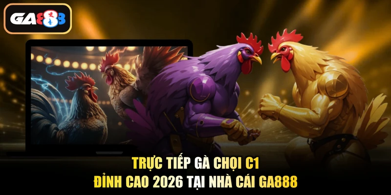 Trực Tiếp Gà Chọi C1 Đỉnh Cao 2026 Tại Nhà Cái Ga888