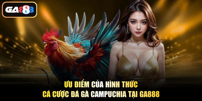 Ưu điểm của hình thức cá cược đá gà Campuchia tại Ga888