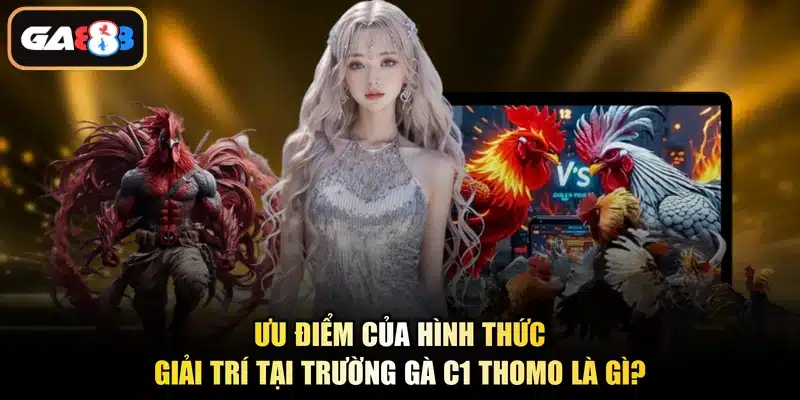 Ưu điểm của hình thức giải trí tại trường gà C1 Thomo là gì?